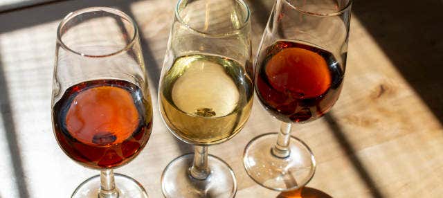 Visita alle cantine Toro Albalá