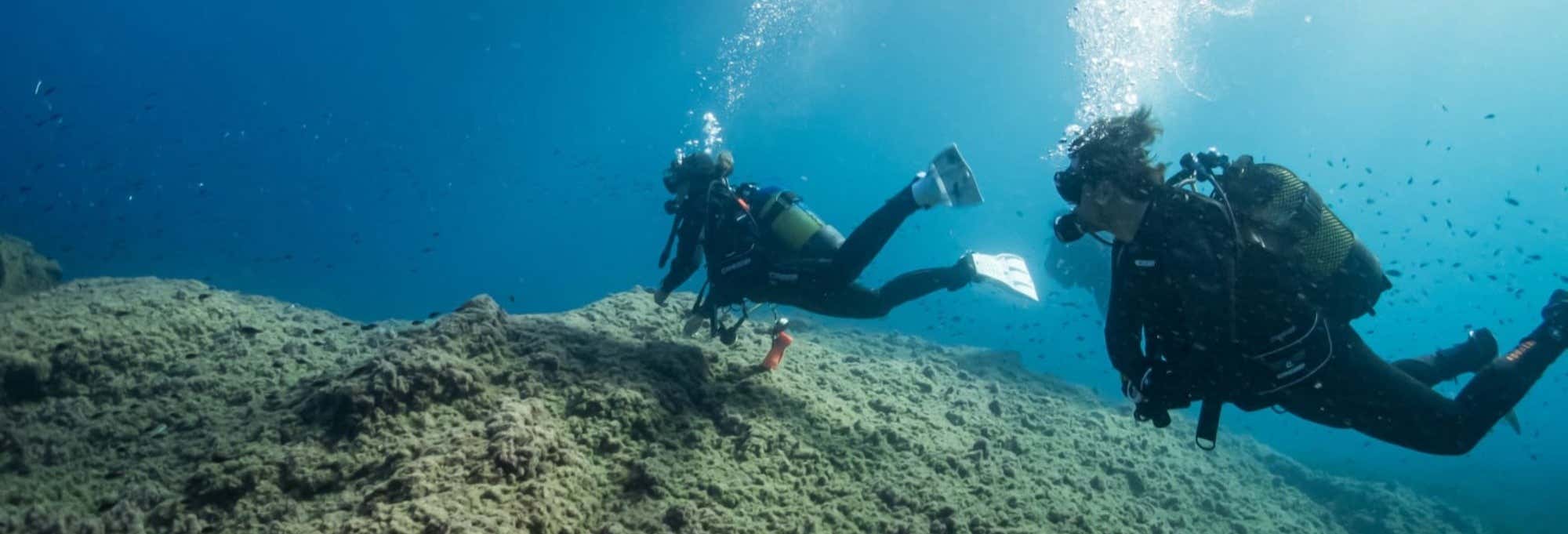 Bautismo de buceo en la isla del Fraile