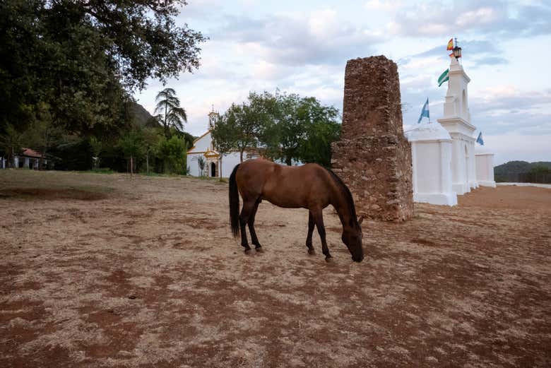 Imagen 8