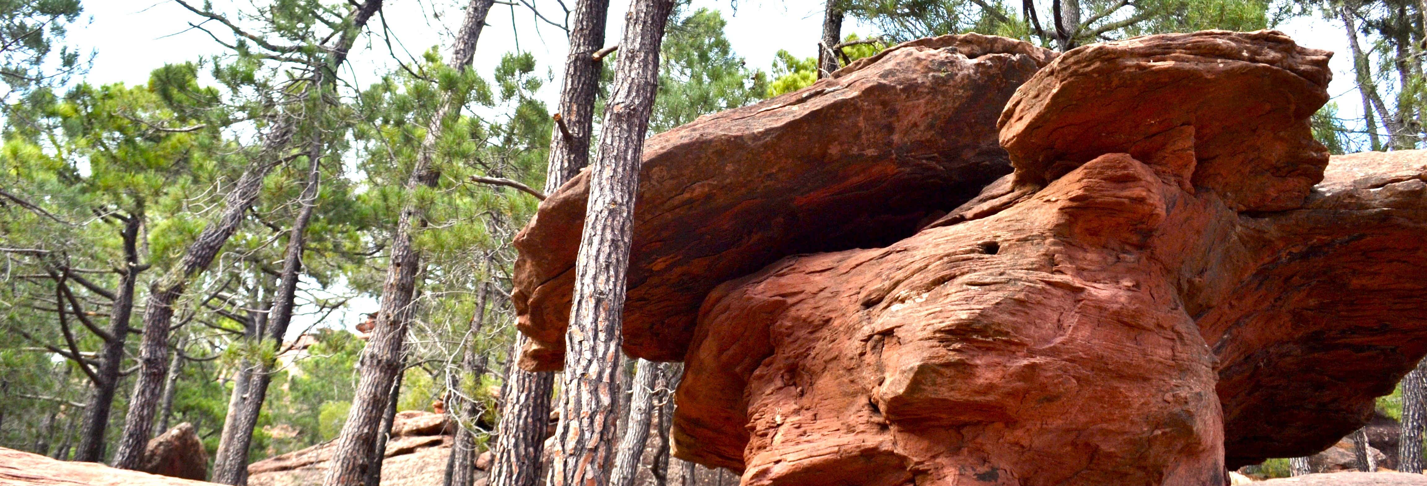 Tour delle pitture rupestri di Pinares de Rodeno