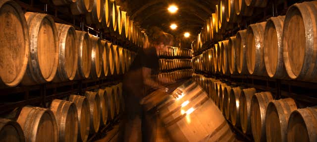 Visita alle cantine Vinícola Real