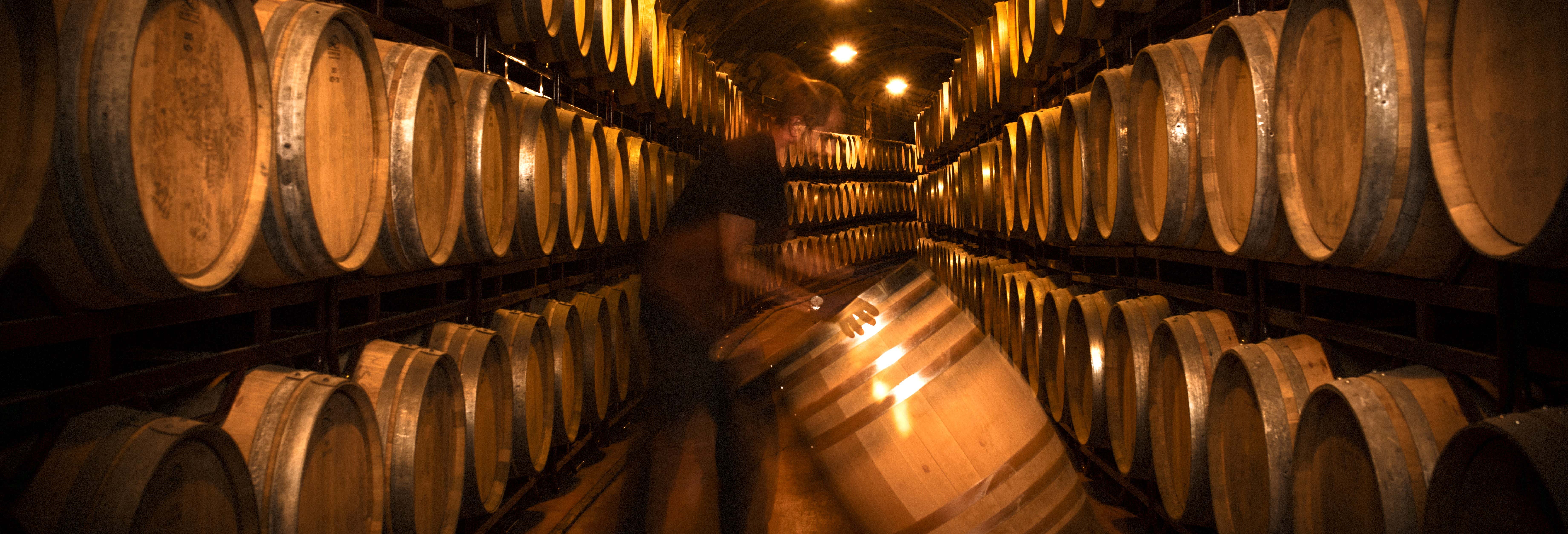 Bodegas Vinícola Real Tour