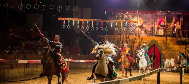 Cena con spettacolo al Magic Robin Hood