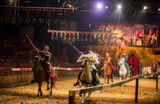 Cena con espectáculo en Magic Robin Hood
