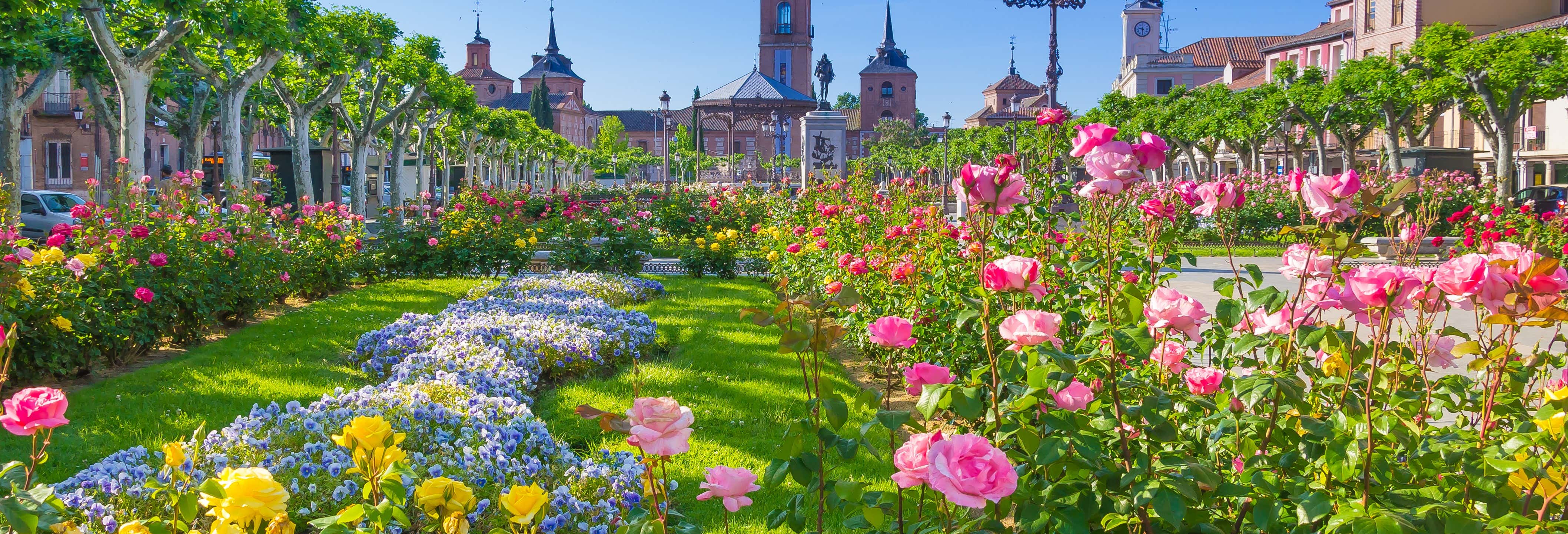 Alcalá de Henares Private Tour