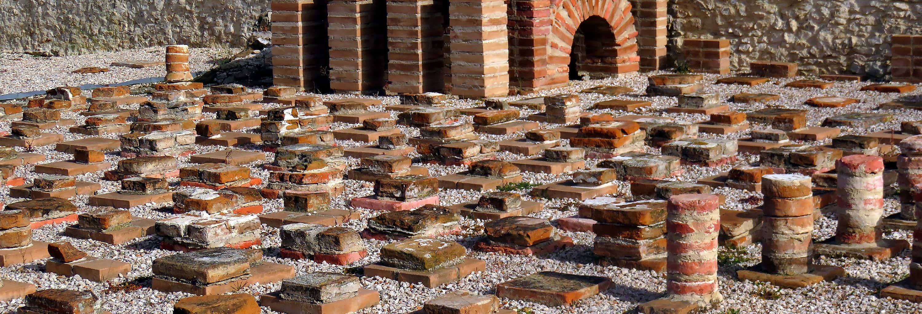 Visita guidata del sito archeologico di Complutum