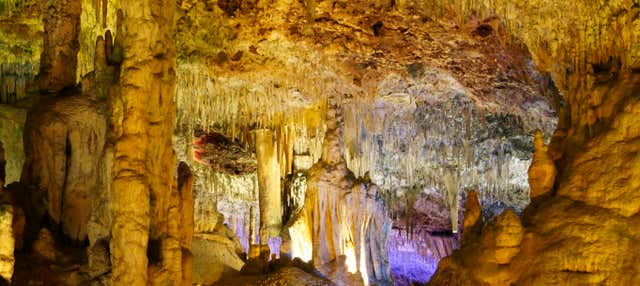 Escursione alle grotte di Hams e Dinosaurland