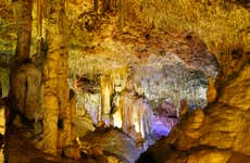 Hams Caves & Dinosaurland Trip