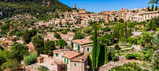 Escursione a Palma e Valldemossa