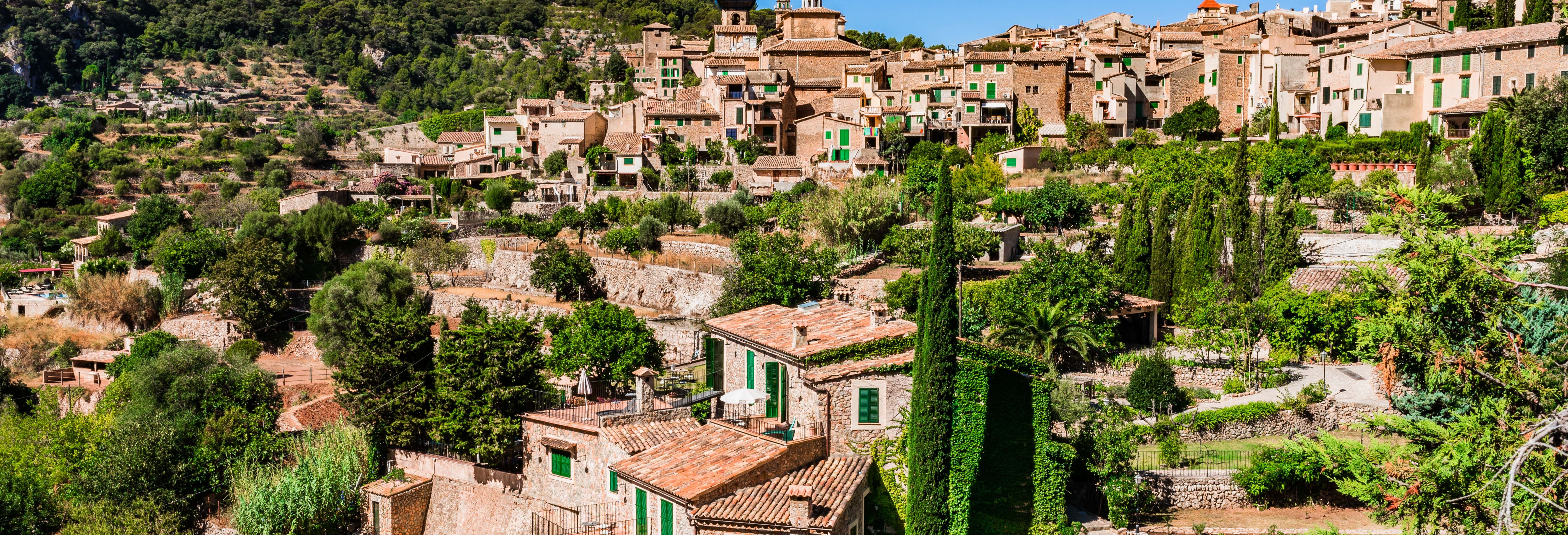 Palma and Valldemossa Day Trip