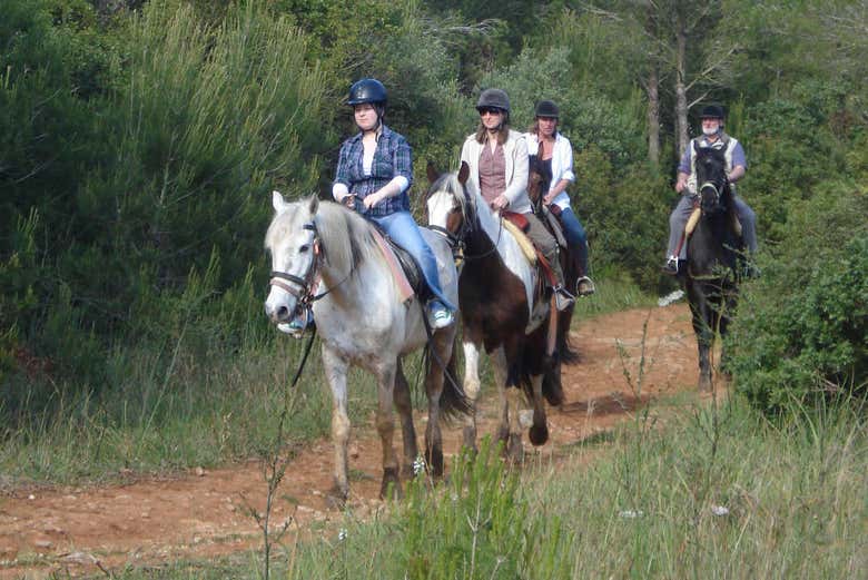 Mallorca Horseback Ride