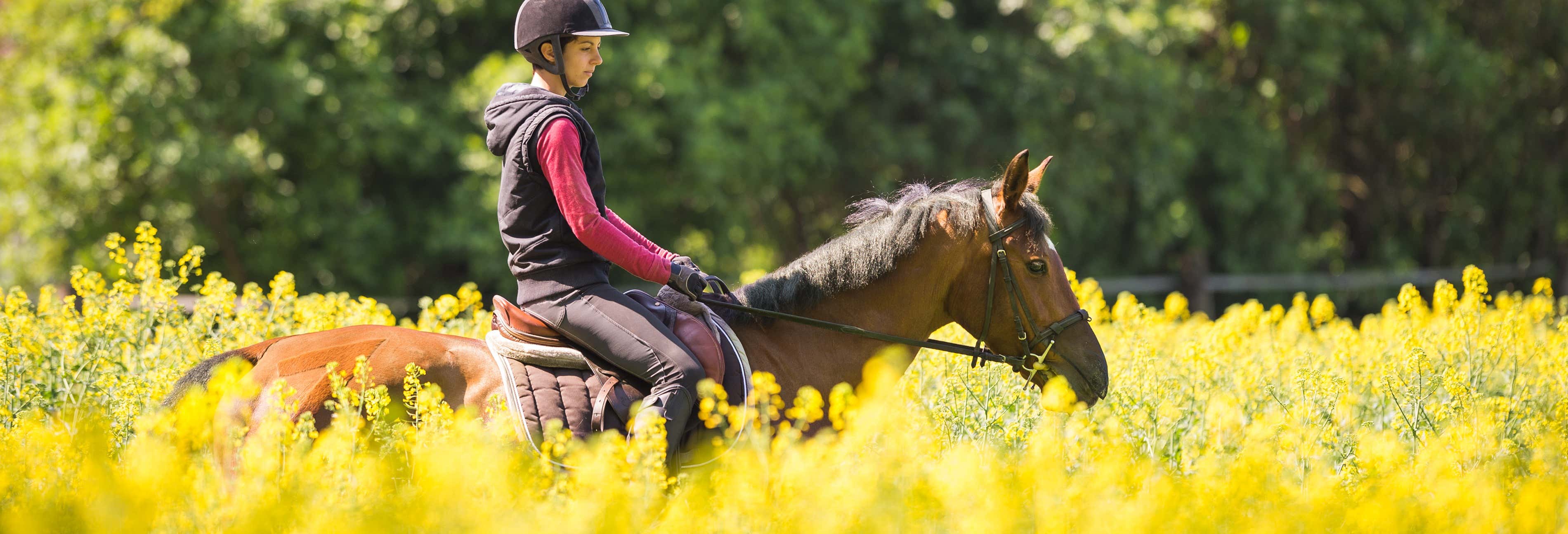 Mallorca Horseback Ride