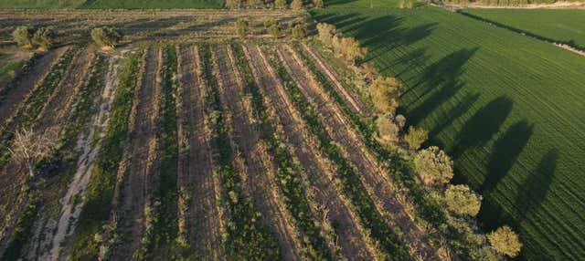 Visita alla cantina Celler Lagravera