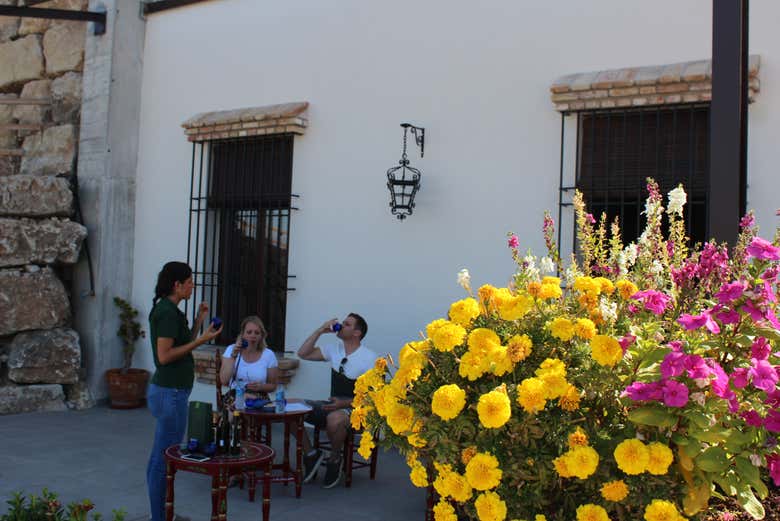 Imagen 4