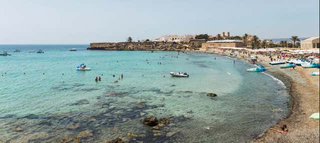 Excursion à l'île de Tabarca et à la palmeraie d'Elche