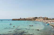 Excursión a la isla de Tabarca y el palmeral de Elche
