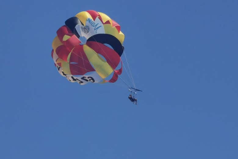 Imagen 5