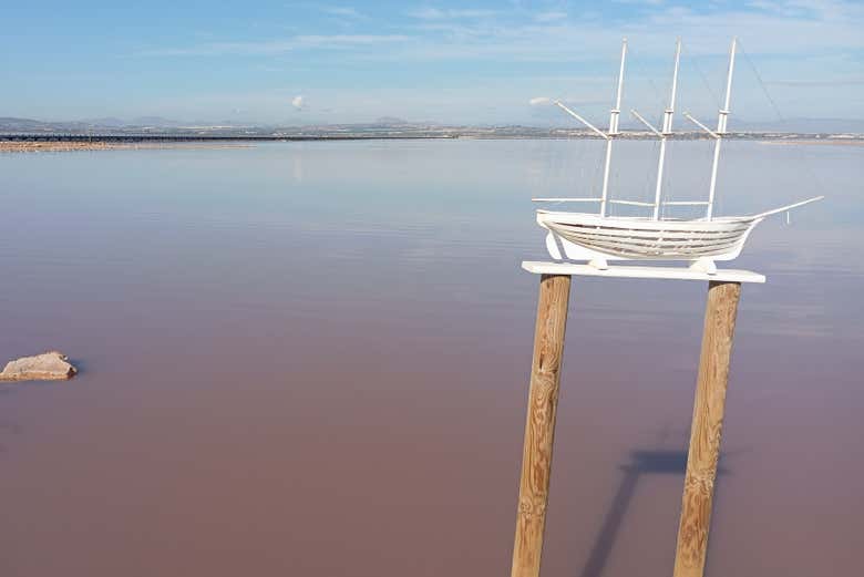 Imagen 8