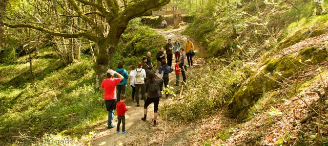Trekking a San Salvador dos Penedos