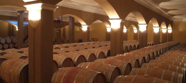 Visita alle cantine Romale