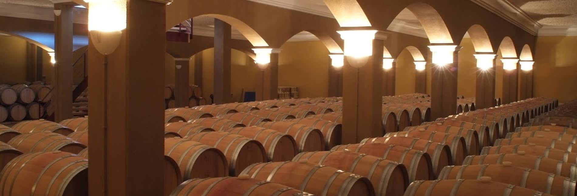 Bodegas Romale Wine Tour