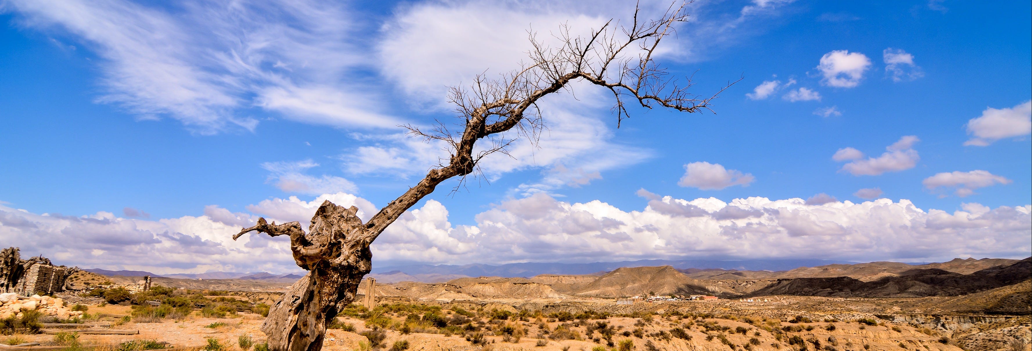 Tabernas & Fort Bravo Day Trip