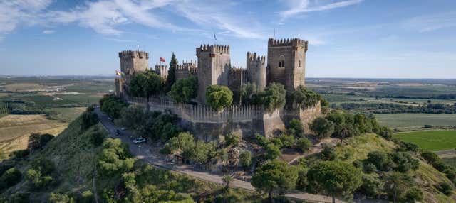 Visita guidata del castello di Almodóvar del Río
