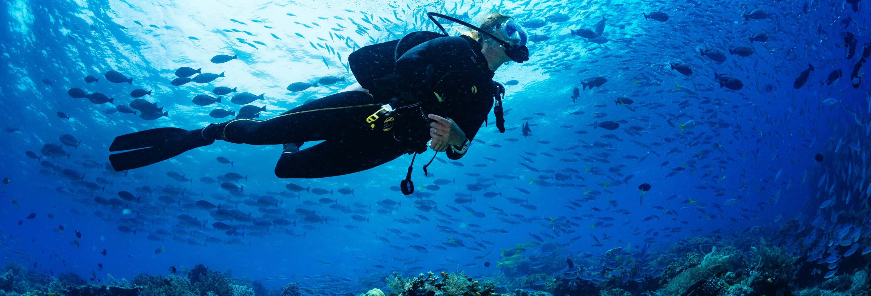 Almuñécar PADI Open Water Diver Course