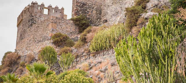 Almuñécar Private Tour