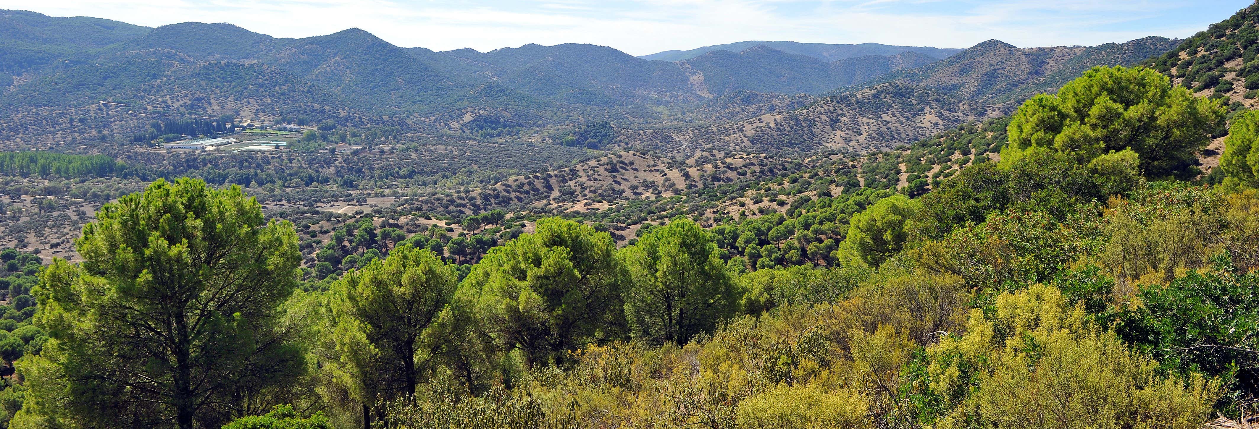 Tour della Sierra de Andújar in 4x4