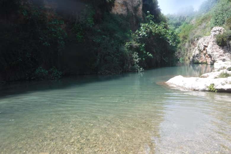 Imagen 7