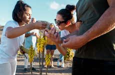 Visita a uma plantação de aloe vera, oliveiras e permacultura