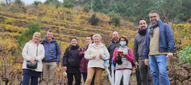 Visita alle cantine Ferrera