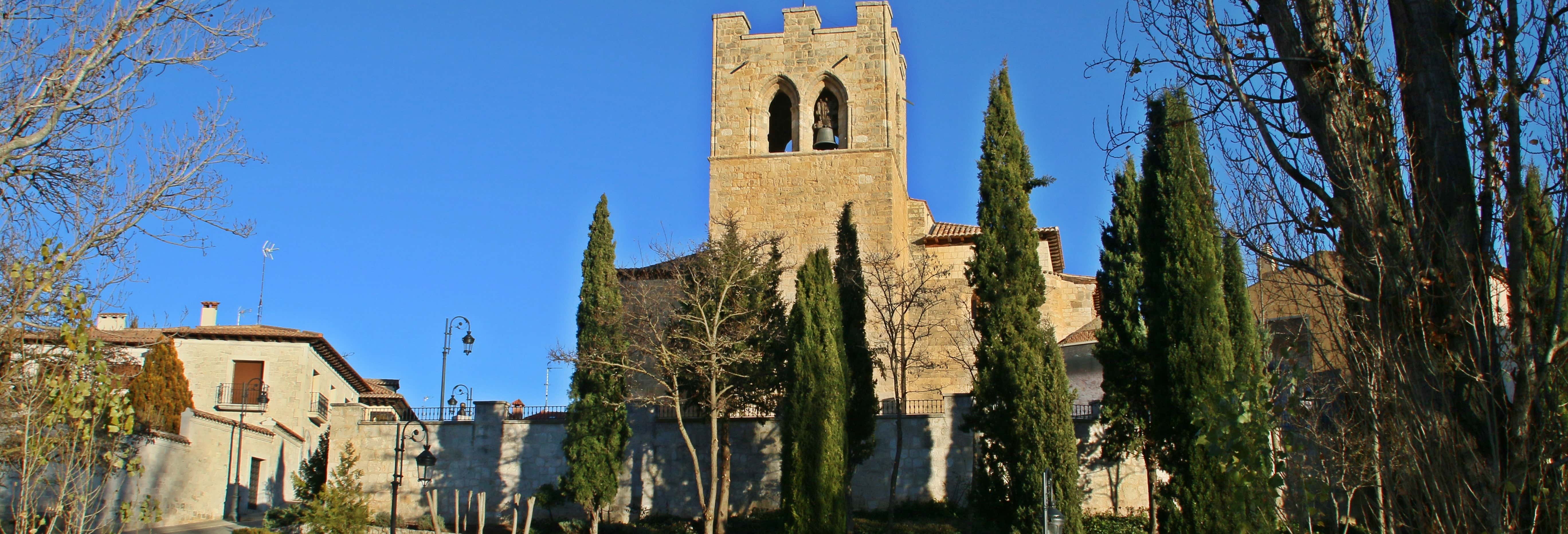 Private tour of Aranda de Duero