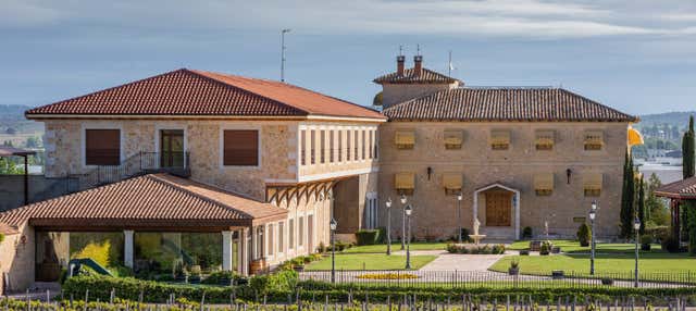 Visita della cantina Finca Torremilanos