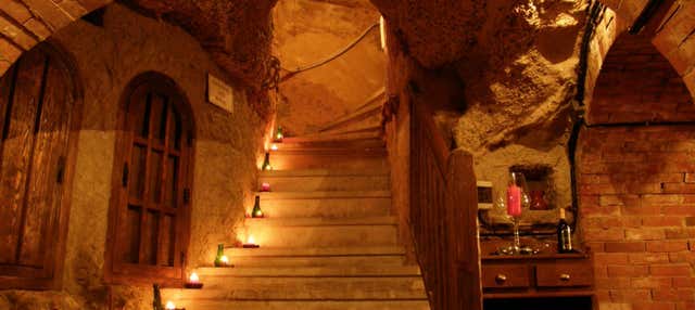 Visita alla Bodega Histórica Don Carlos con degustazione di vino