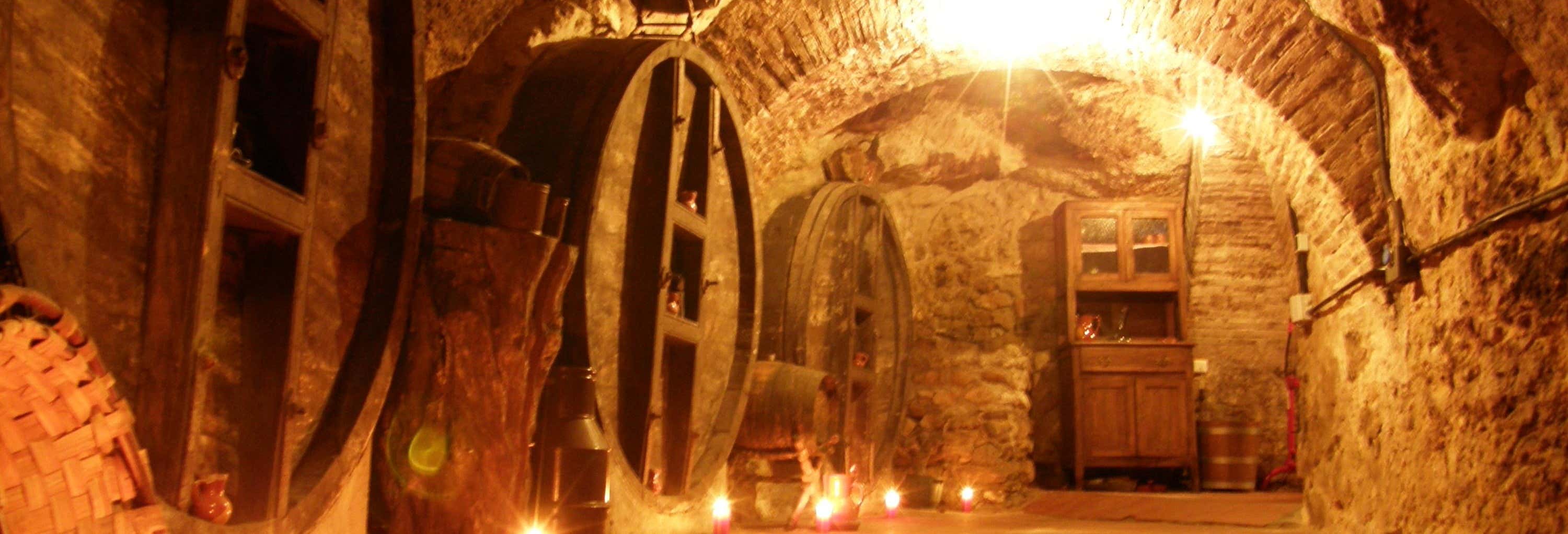 Aranda de Duero Underground Wine Cellar Tour