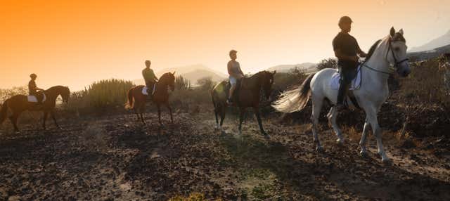 Passeggiata a cavallo nel sud di Tenerife