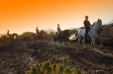Southern Tenerife Horseback Ride