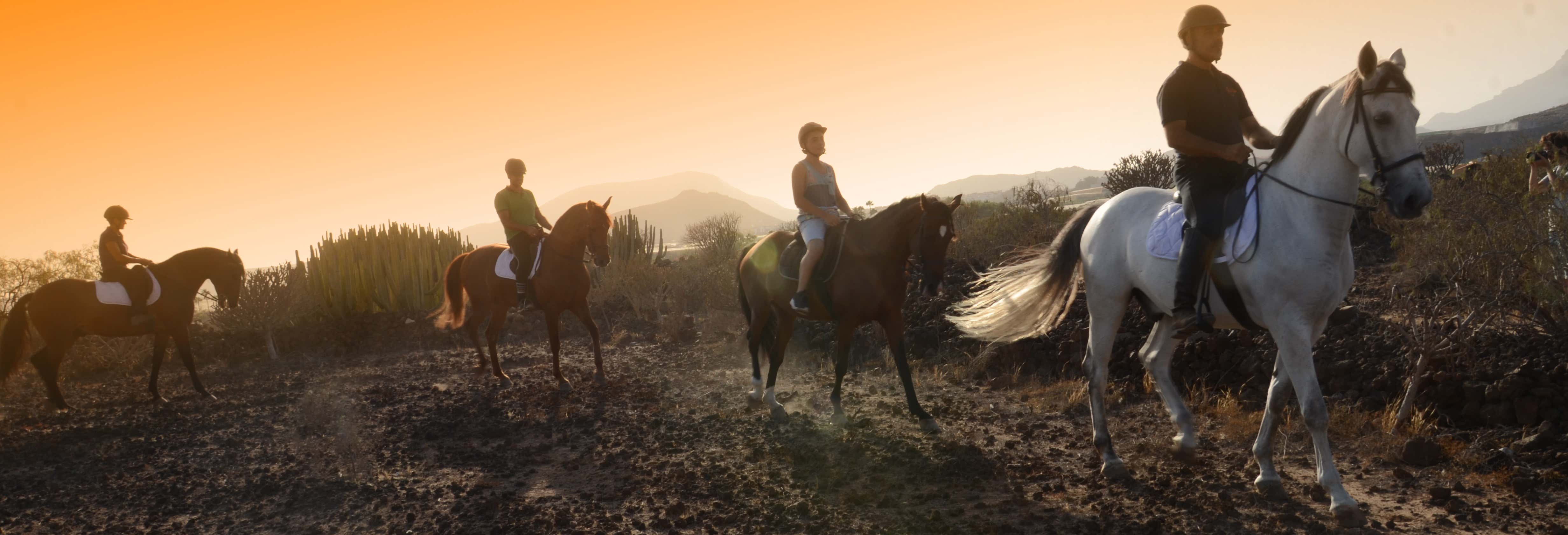 Southern Tenerife Horseback Ride