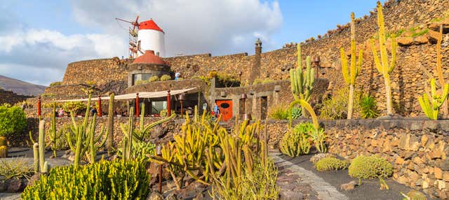 Tour di César Manrique a Lanzarote
