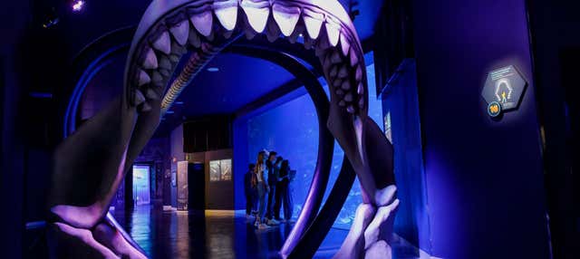 Biglietti per Atlantis Aquarium