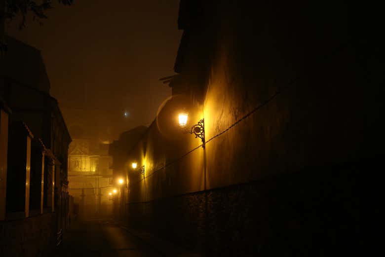 Imagen 5