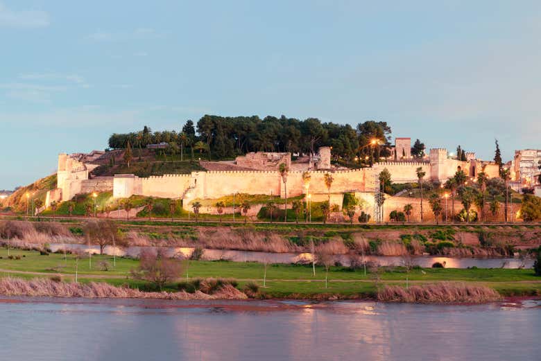 Imagen 6