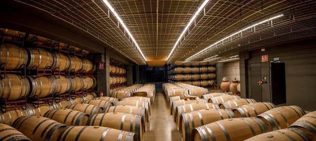 Visita alle cantine Martínez Alesanco