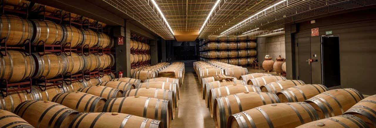 Visita alle cantine Martínez Alesanco