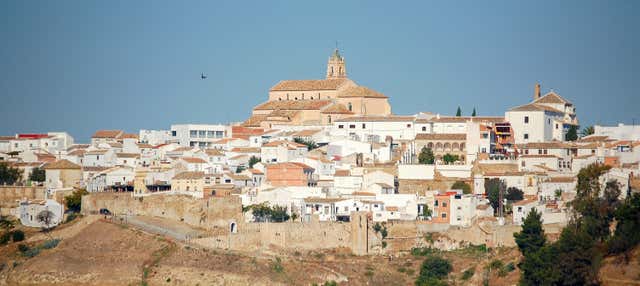 Visita guidata di Baena