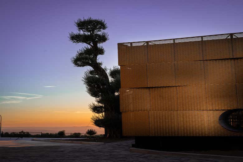 Imagen 8