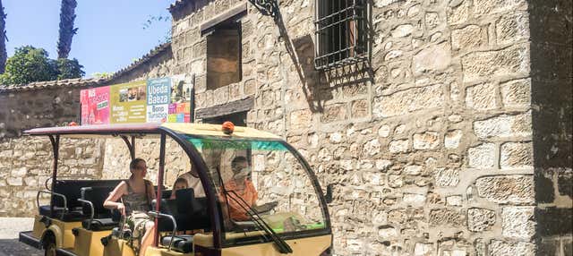 Tour panoramico di Baeza