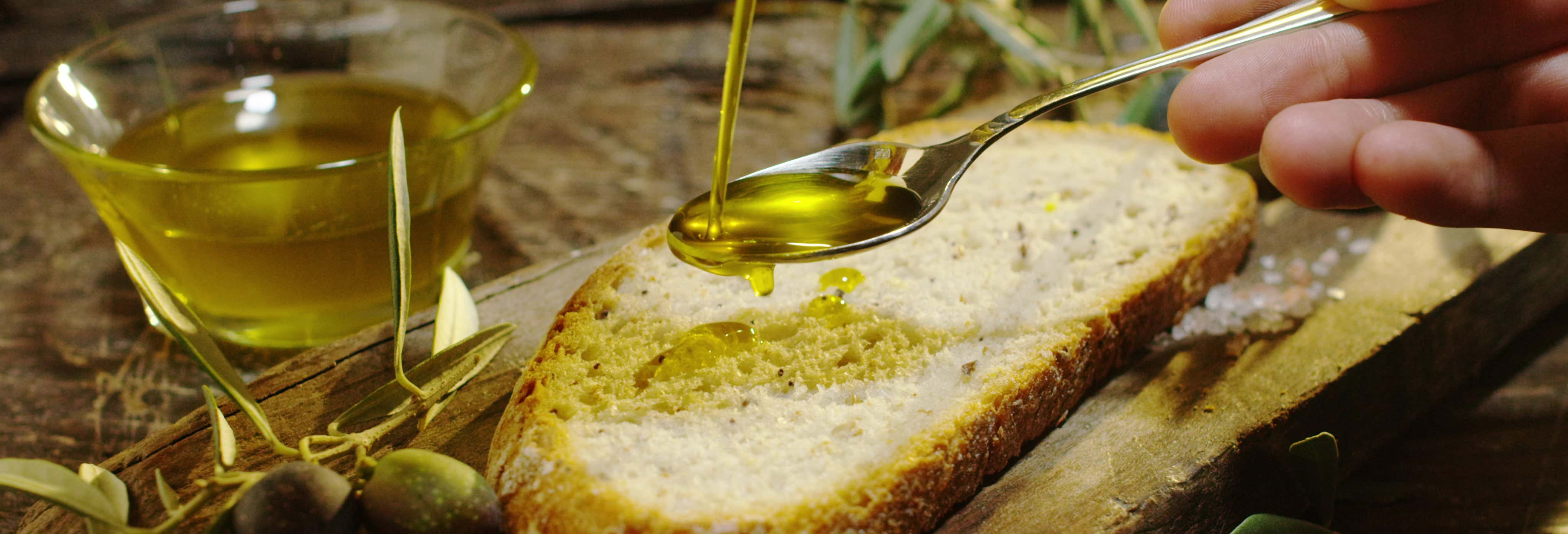 Visita guidata del frantoio El Alcázar